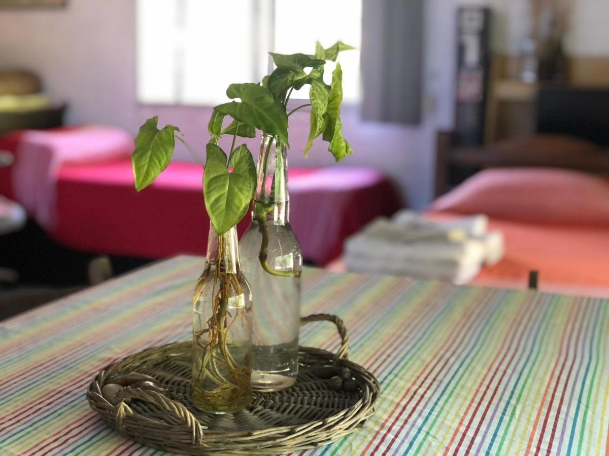 Casita Del Parque 호텔 살토 외부 사진